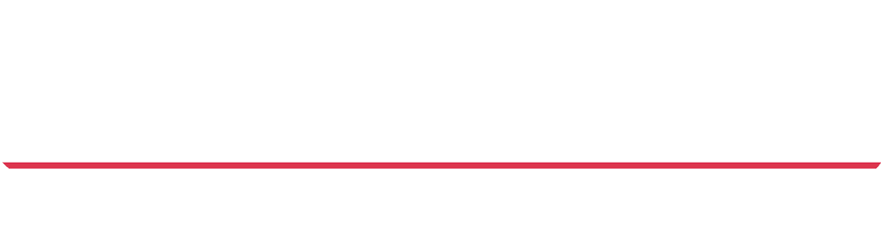 Servant of the People logo