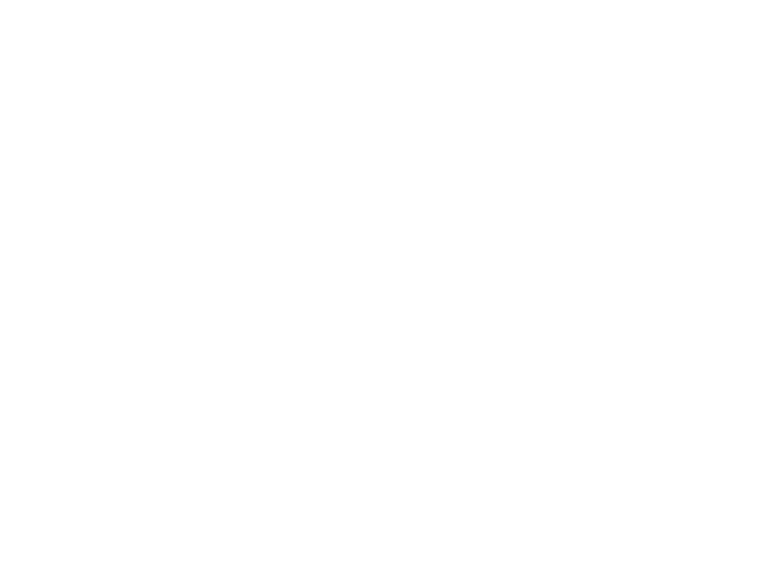 The Nanny Express logo