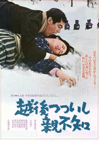 A Story from Echigo poster