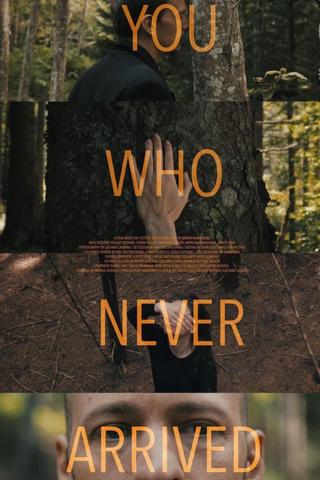 You Who Never Arrived poster