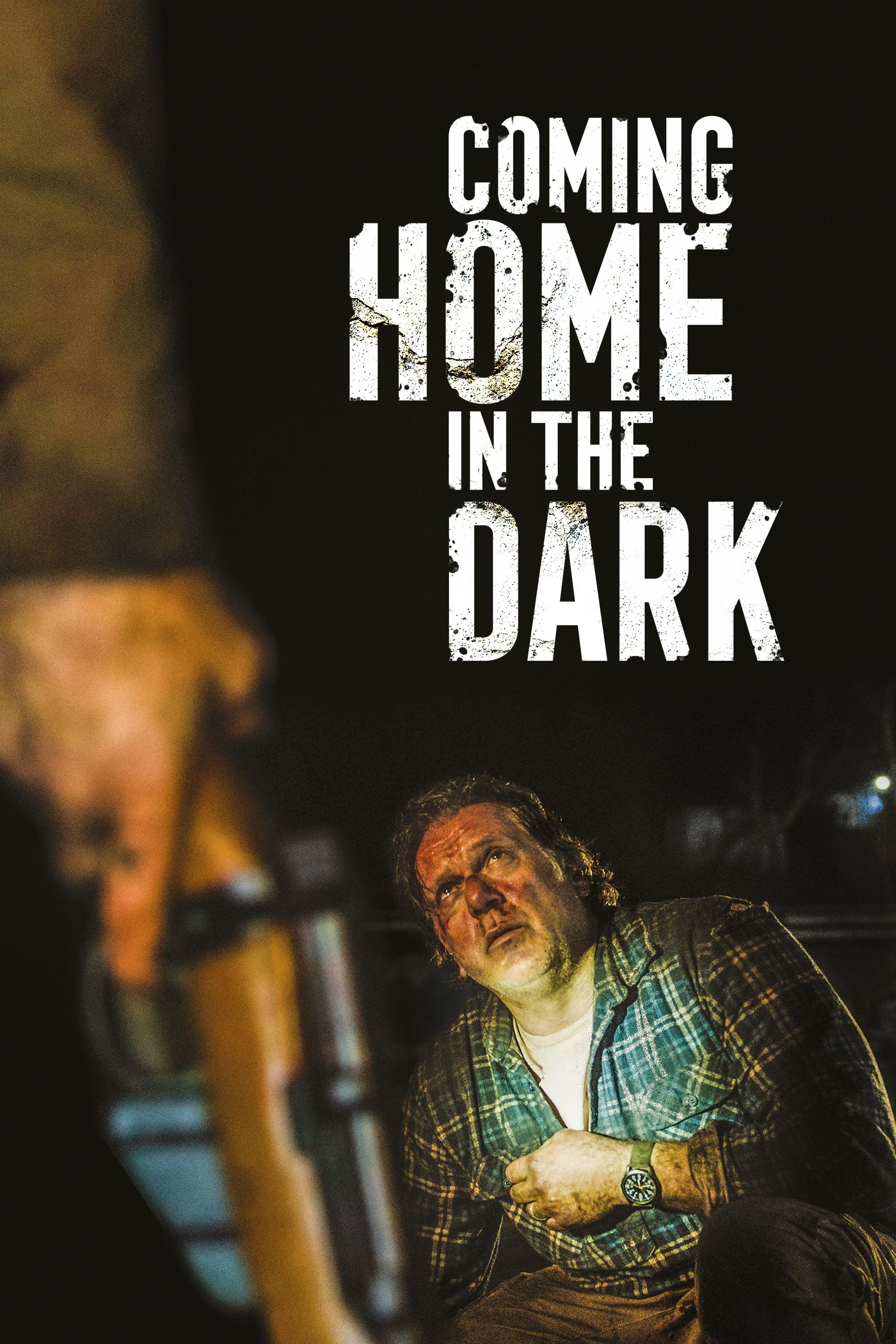 Coming Home in the Dark poster