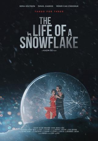 The Life of a Snowflake poster