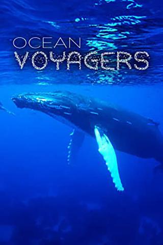 Ocean Voyagers poster