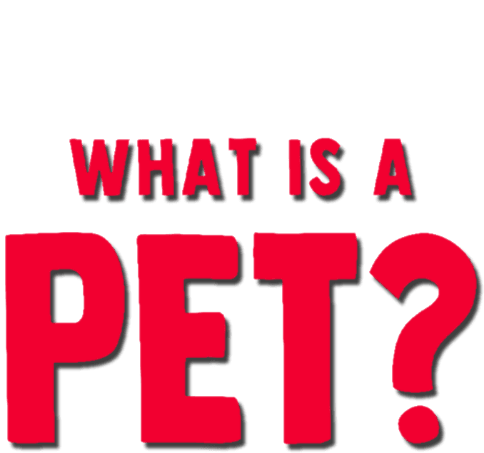 Forky Asks a Question: What Is a Pet? logo