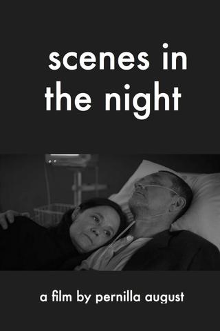 Scenes in the Night poster