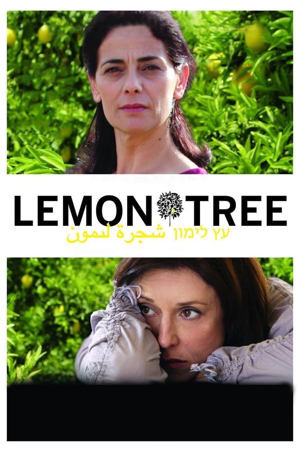 Lemon Tree poster