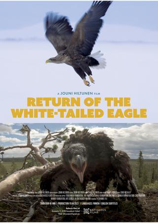 Return of the White-tailed Eagle poster