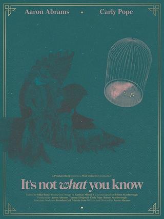 It's Not What You Know poster