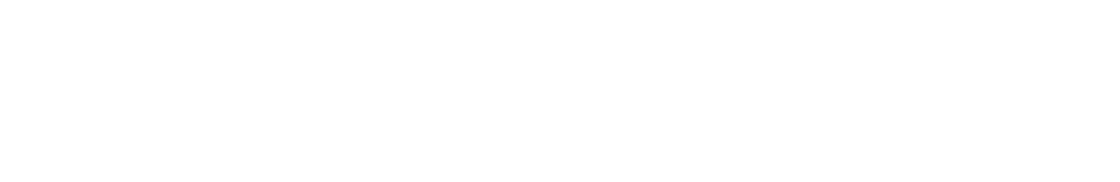 Cave Rescue logo