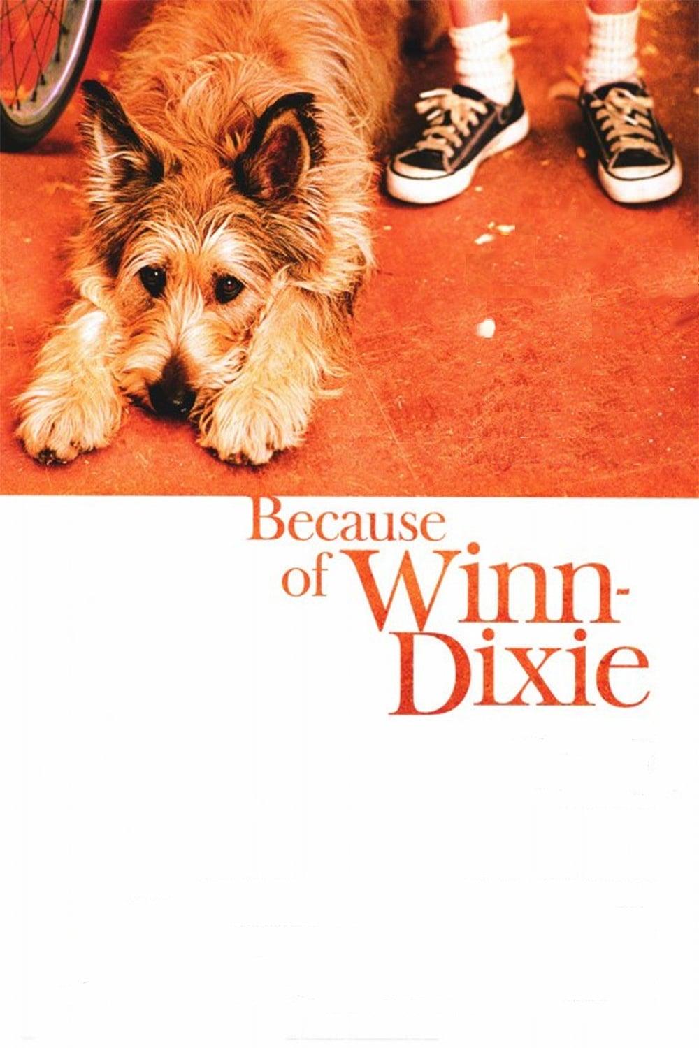 Because of Winn-Dixie poster