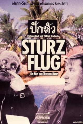 Sturzflug poster