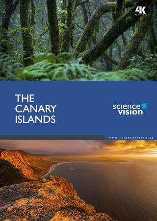 The Canary Islands poster