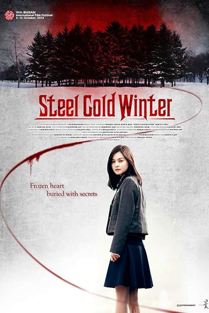 Steel Cold Winter poster