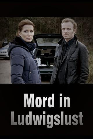 Mord in Ludwigslust poster