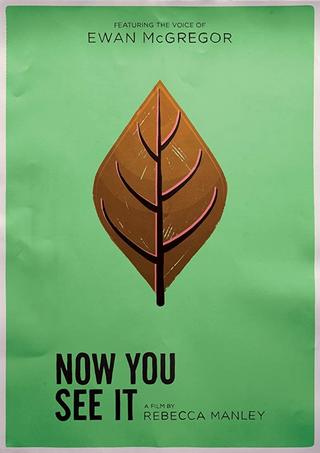 Now You See It poster