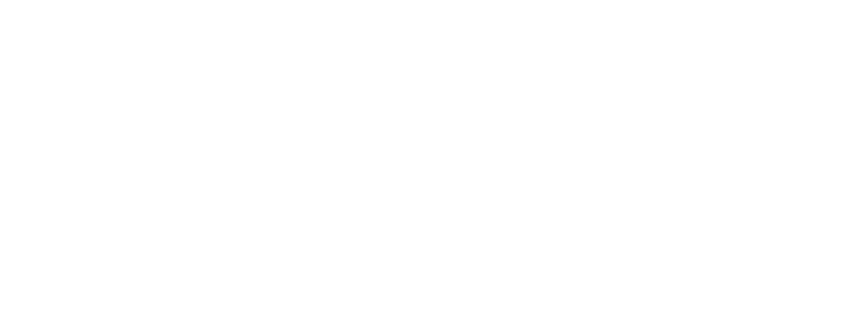 The Christmas Consultant logo