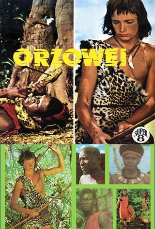 Orzowei, il figlio della savana poster