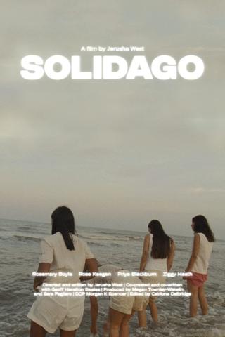 Solidago poster
