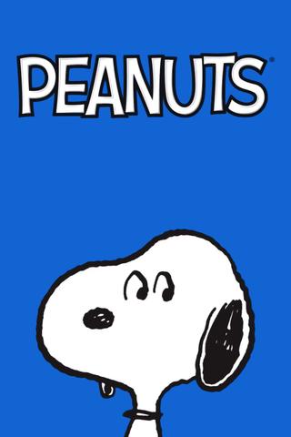 BRAND NEW Peanuts Animation poster