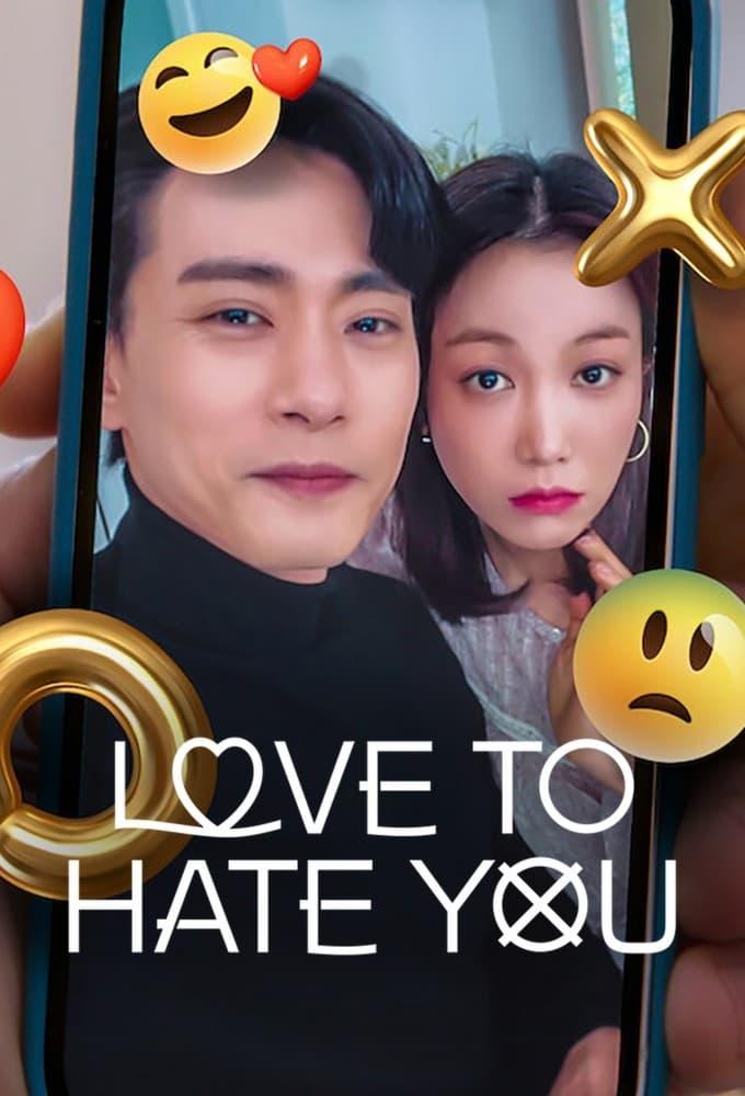 Love to Hate You poster