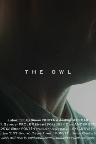 The Owl poster