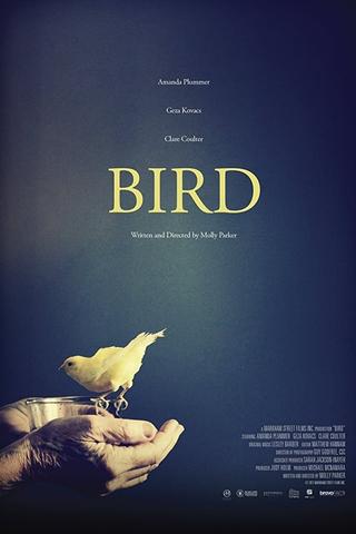 Bird poster