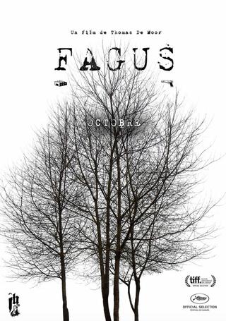 Fagus poster