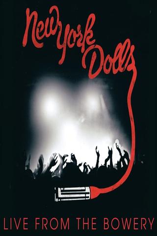 New York Dolls: Live From The Bowery poster