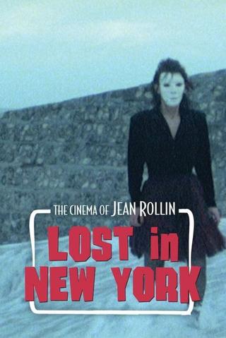 Lost in New York poster