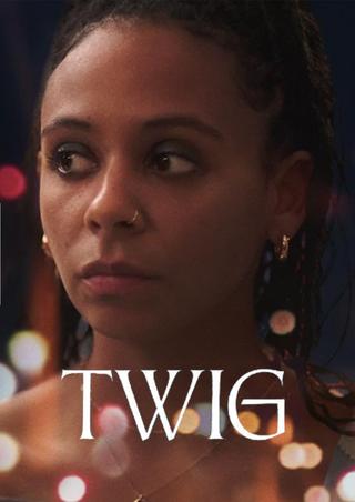 Twig poster