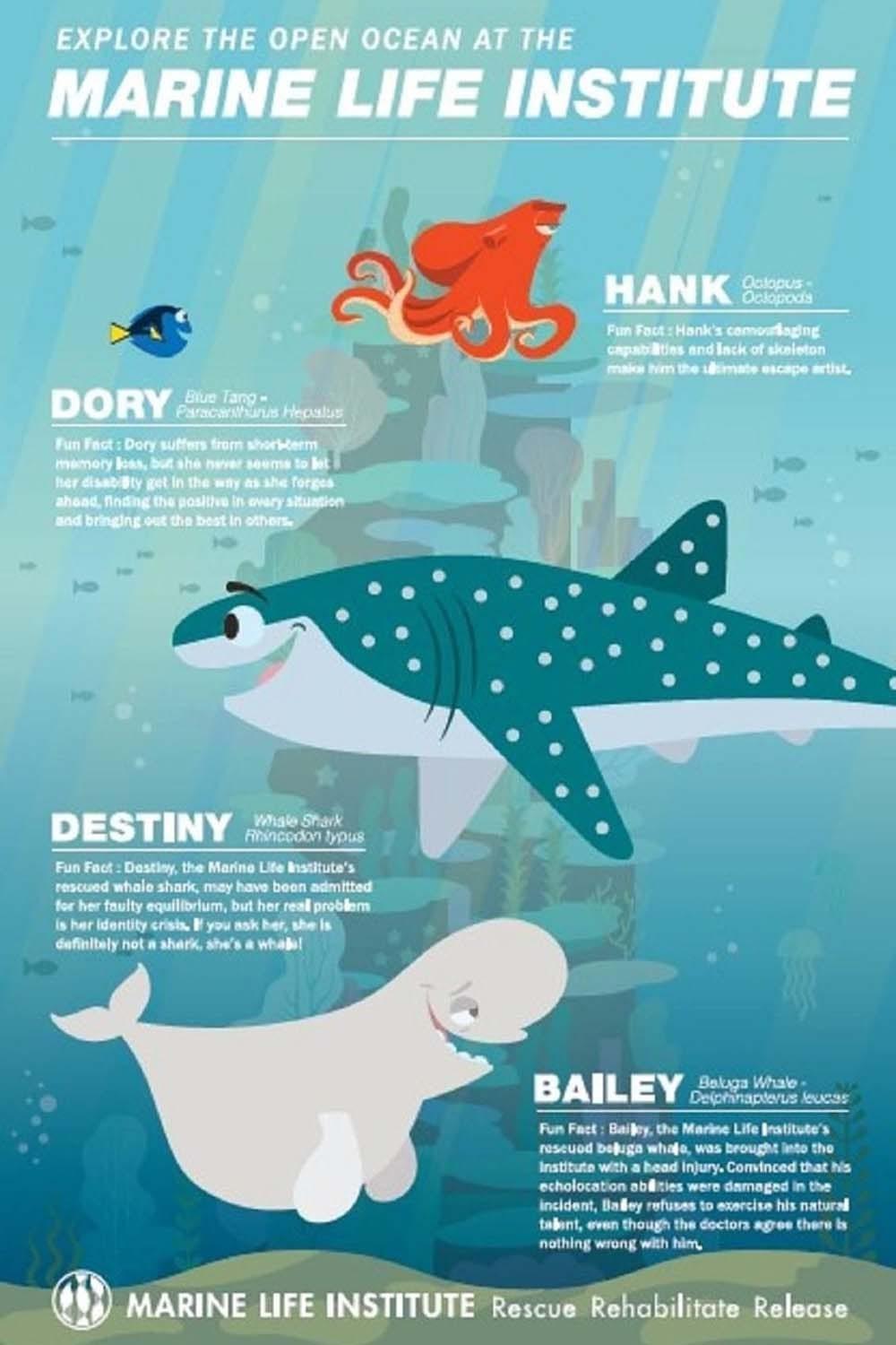 Marine Life Interviews poster