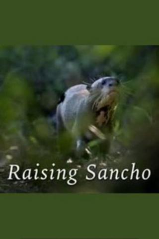 Raising Sancho poster