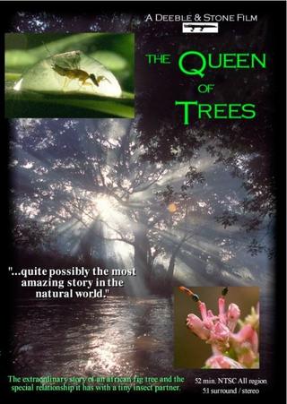 The Queen of Trees poster