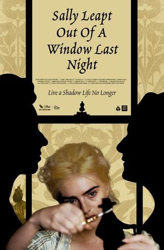 Sally Leapt Out of a Window Last Night poster
