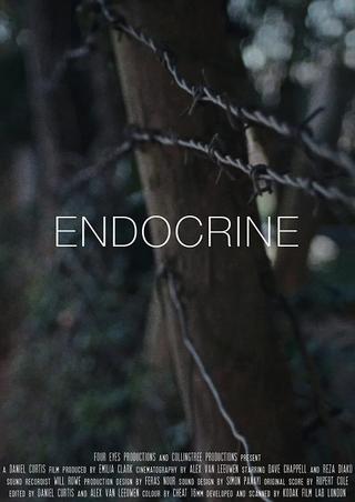 Endocrine poster
