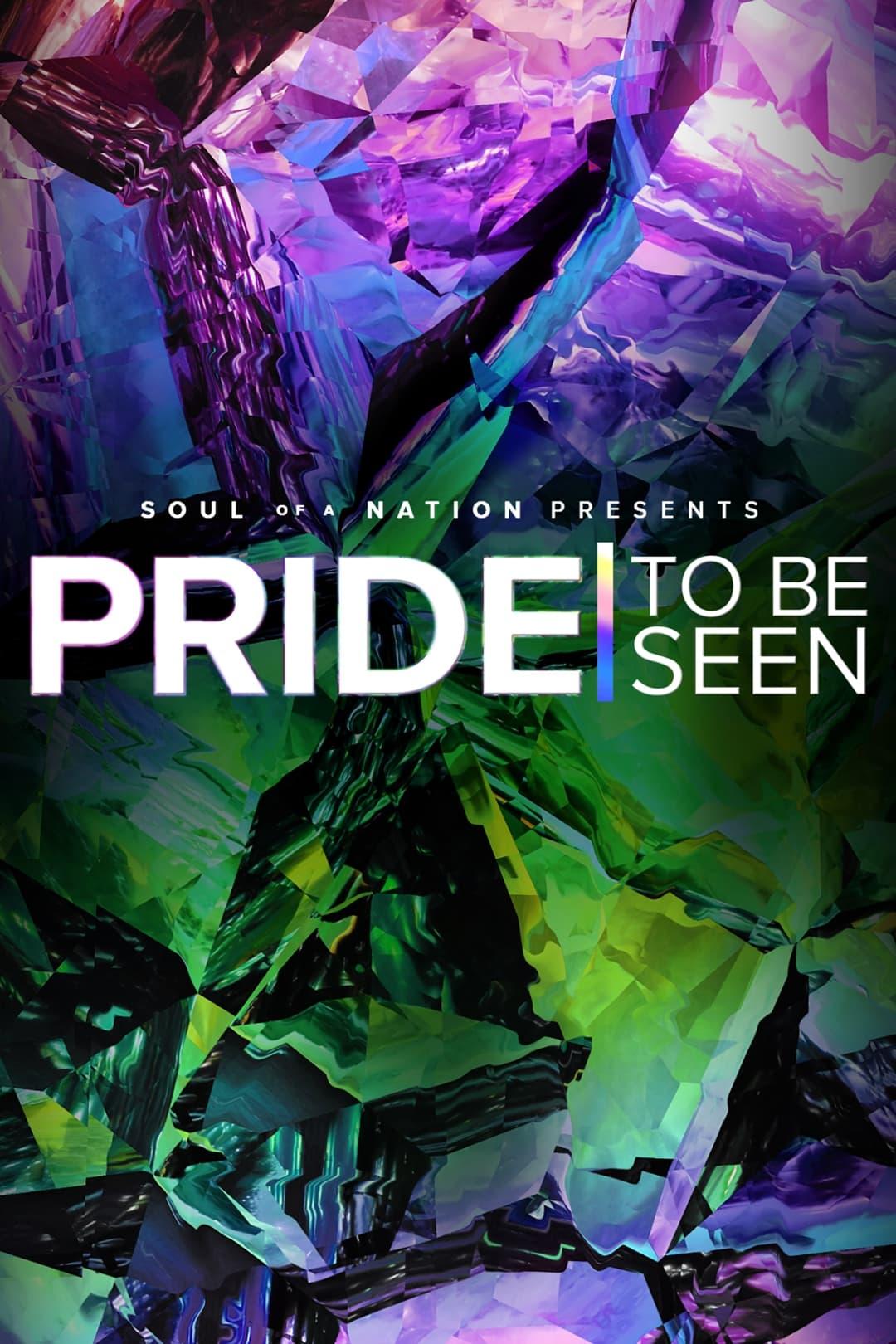 PRIDE: To Be Seen - A Soul of a Nation Presentation poster
