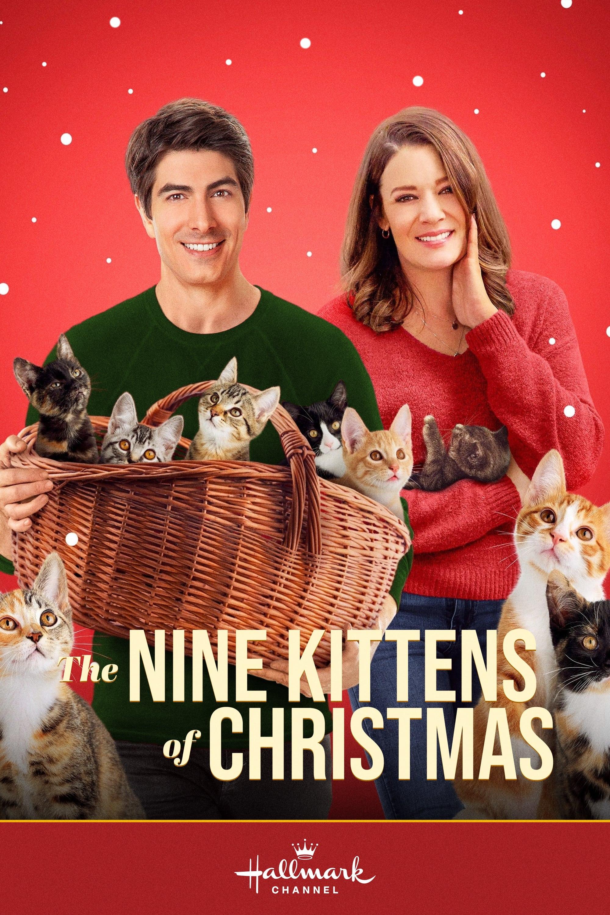 The Nine Kittens of Christmas poster