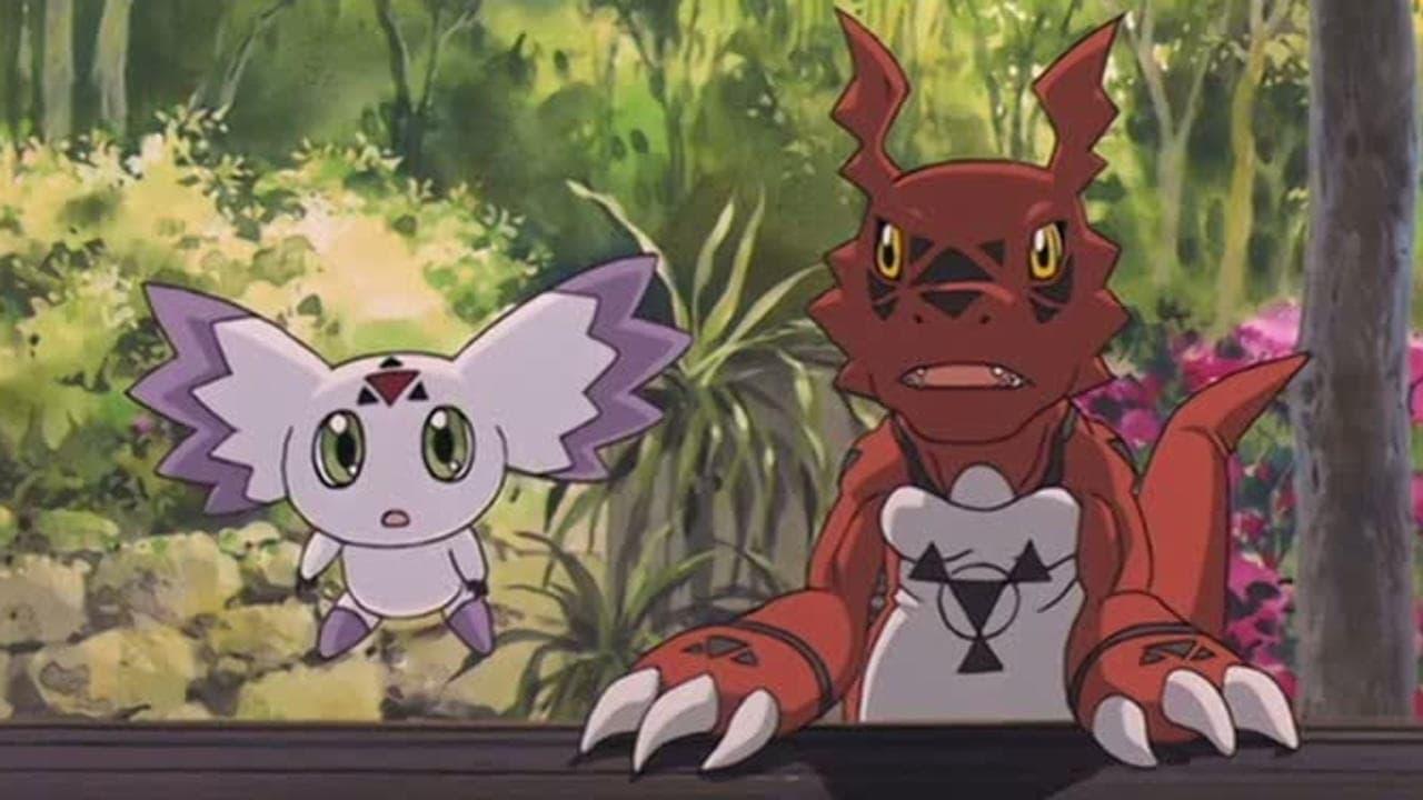 Digimon Tamers: Battle of Adventurers backdrop