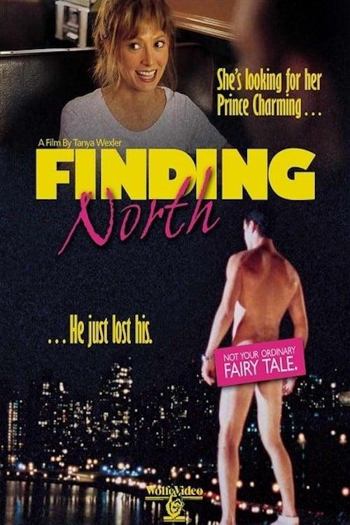 Finding North poster