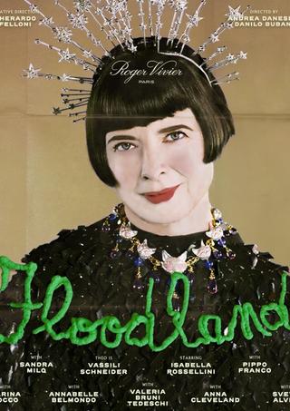 Floodland poster