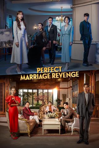 Perfect Marriage Revenge poster