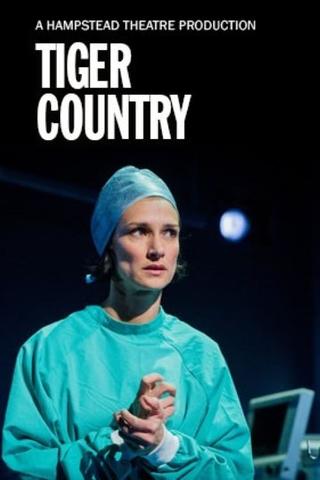 Hampstead Theatre At Home: Tiger Country poster