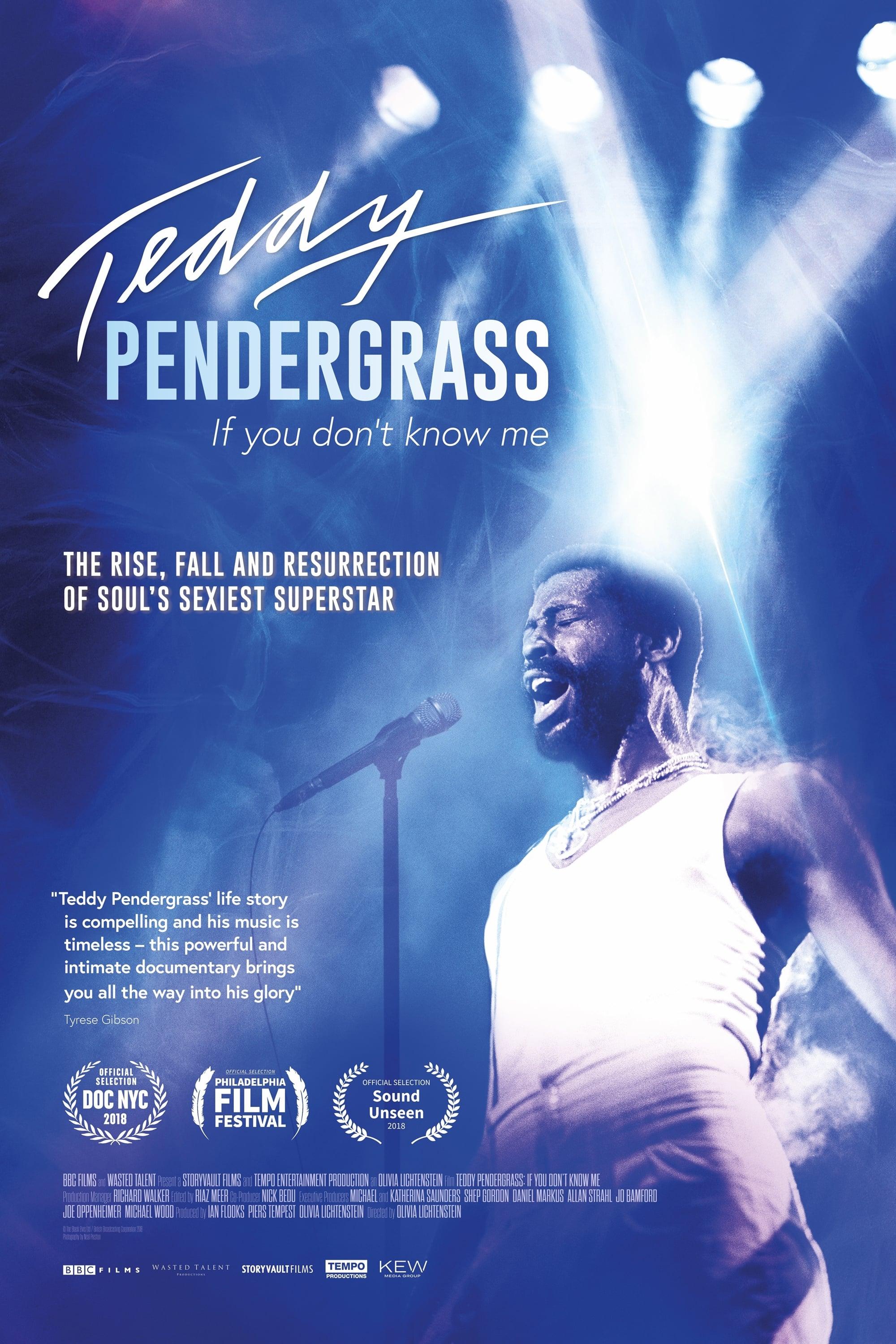 Teddy Pendergrass: If You Don't Know Me poster
