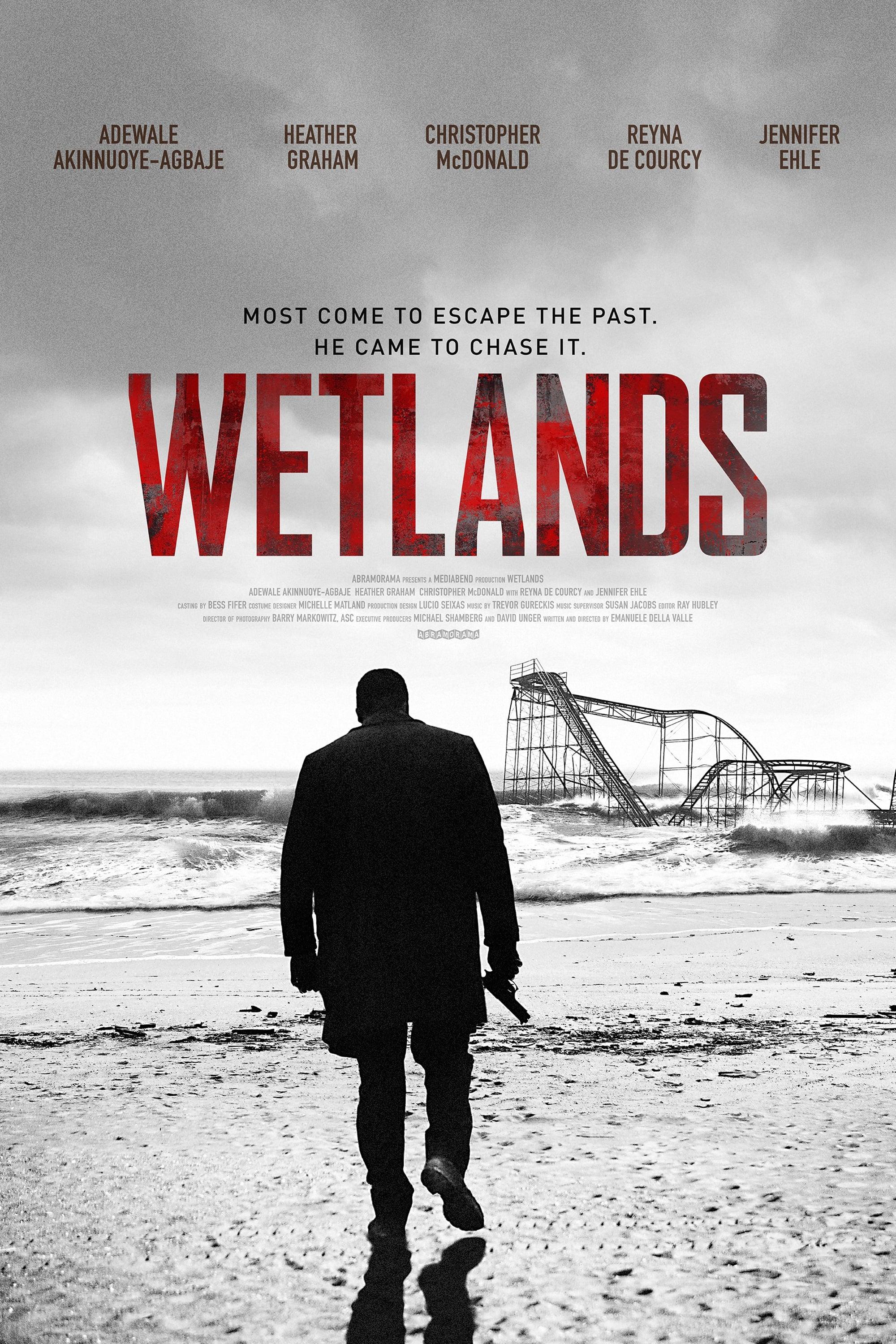 Wetlands poster