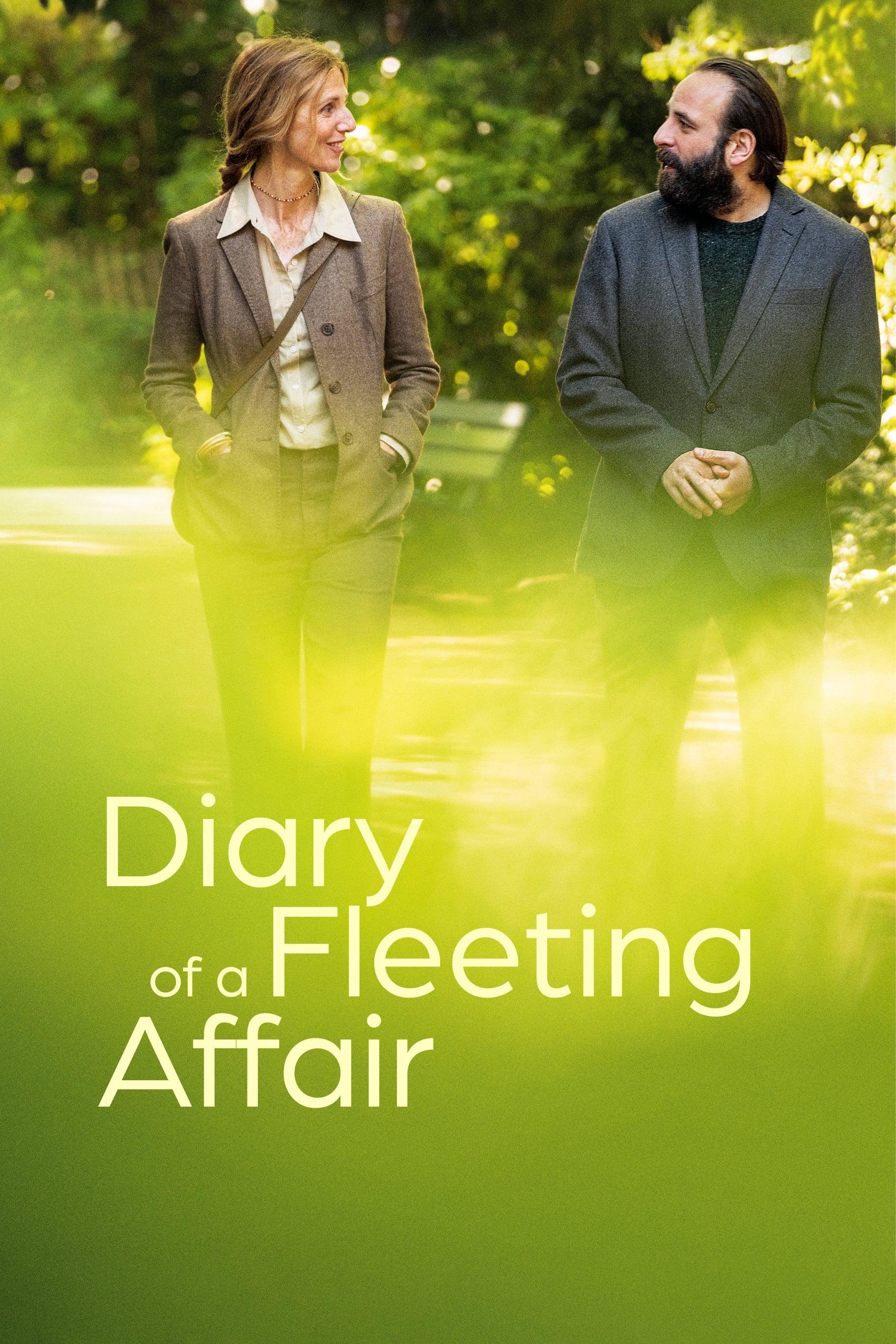 Diary of a Fleeting Affair poster