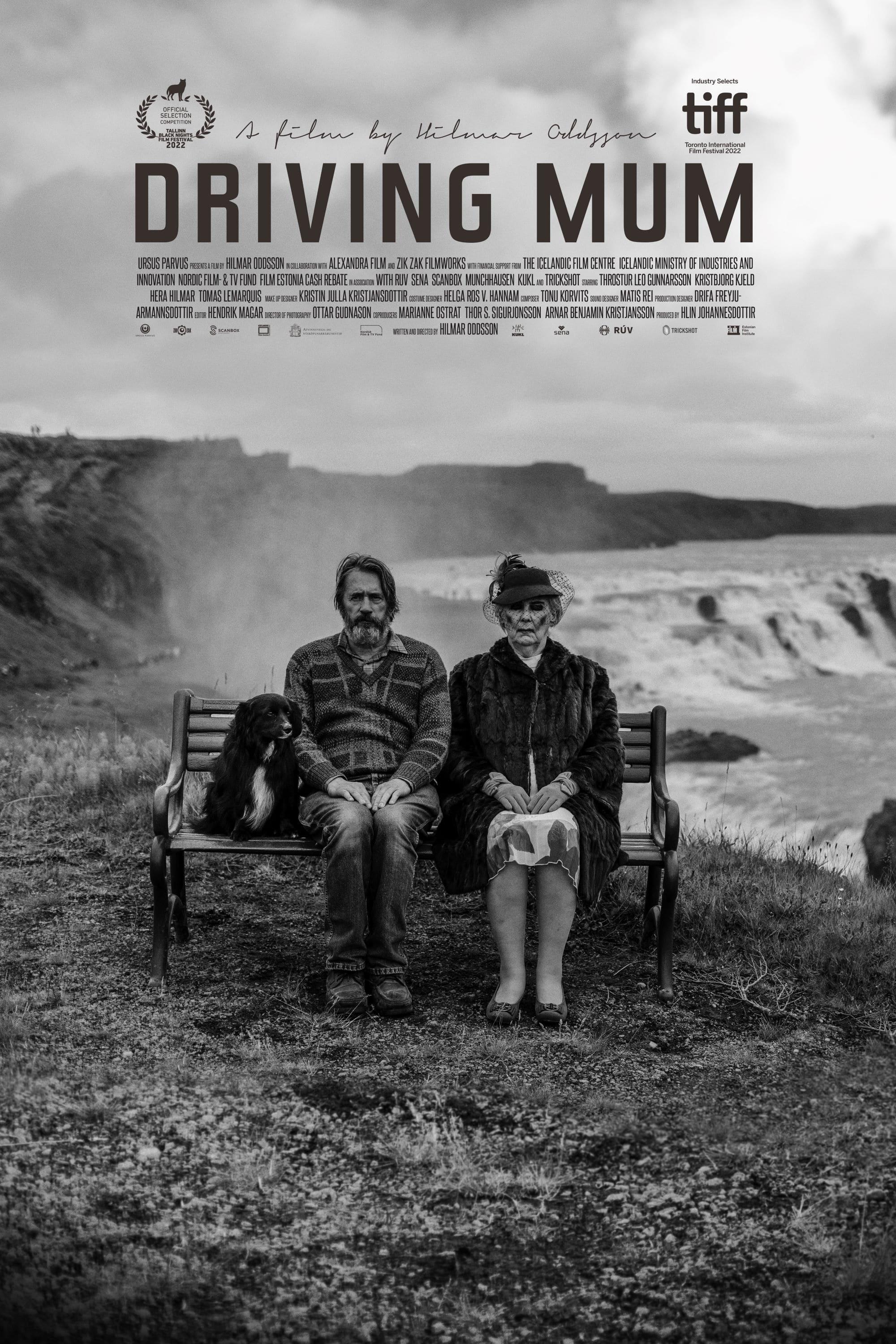 Driving Mum poster
