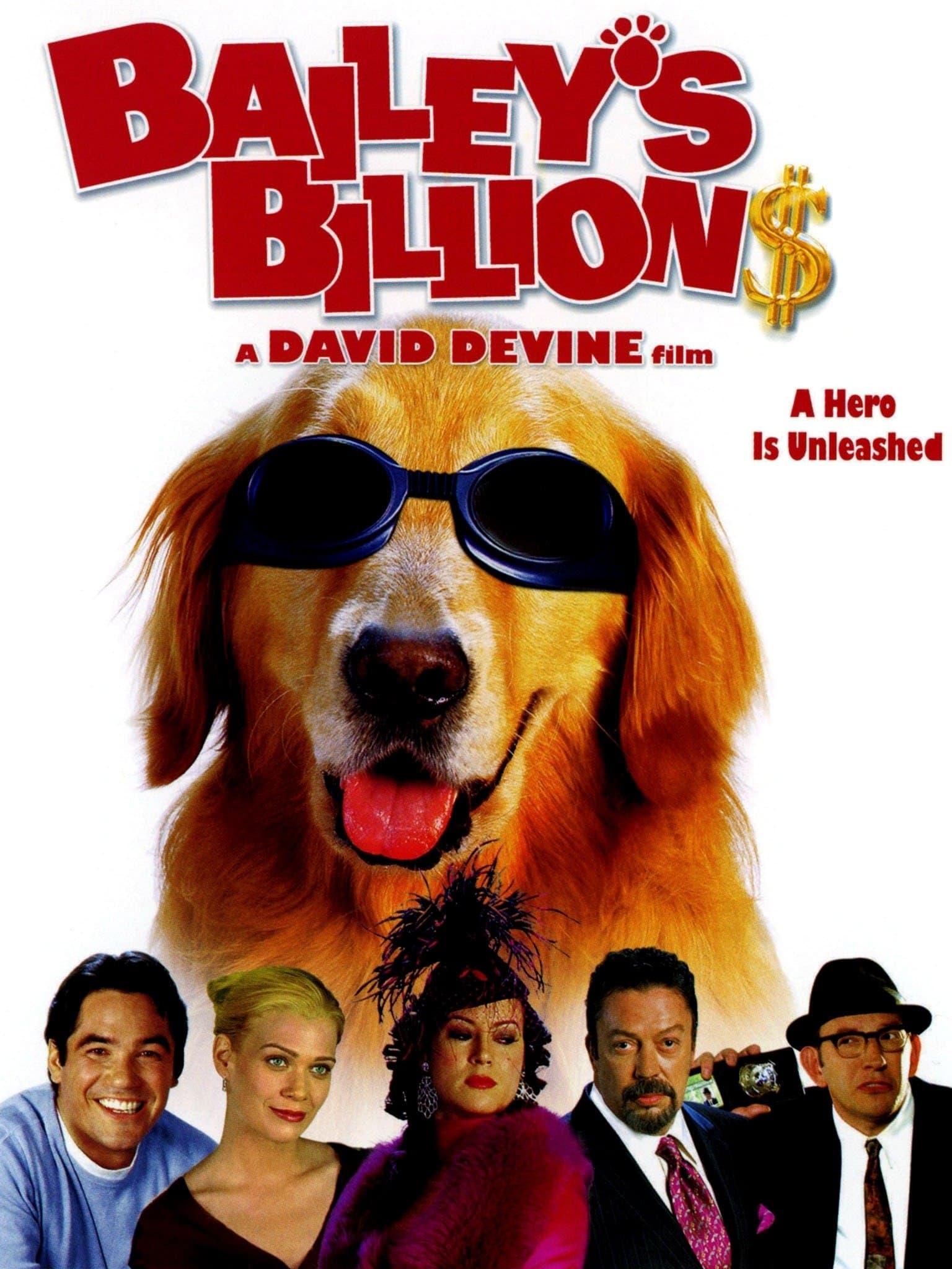 Bailey's Billion$ poster