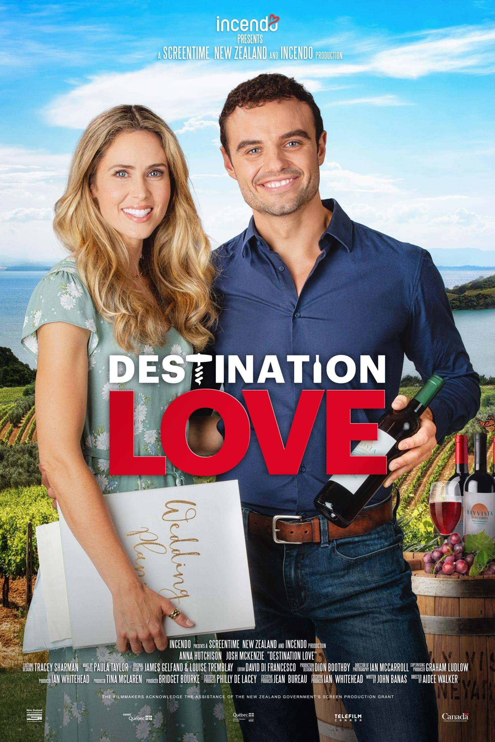 Destination Love poster