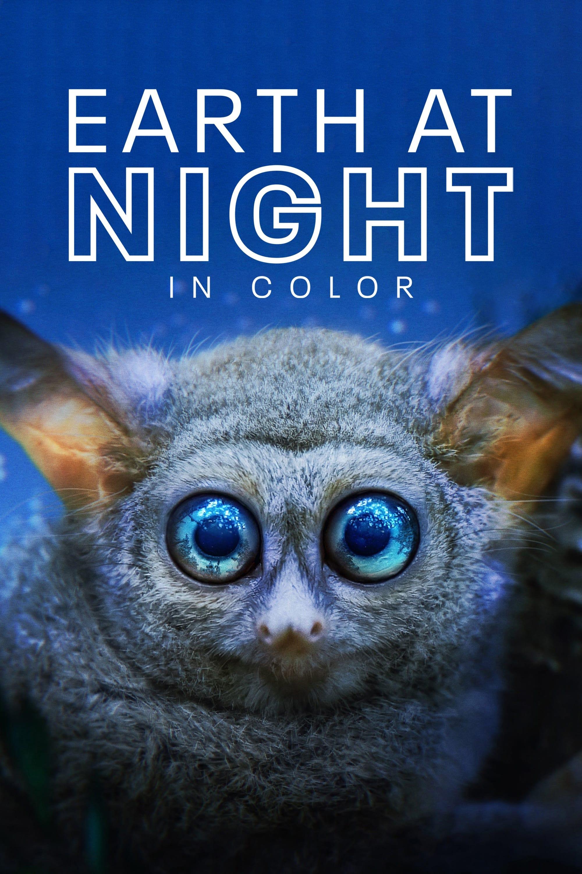 Earth at Night in Color poster