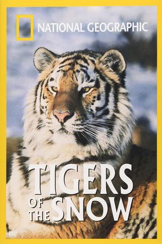 Tigers of the Snow poster